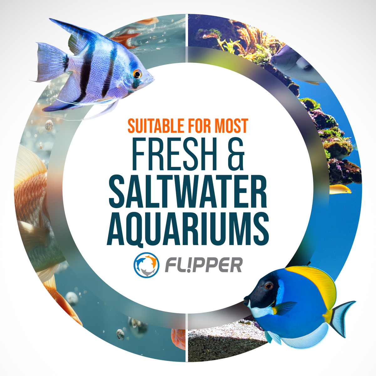 Flipper Platinum Aquarium Algae Scraper - 28"